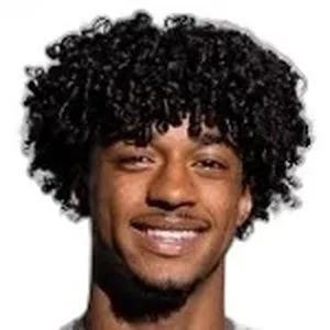 Theodore Olakitan Ademide Adelusi